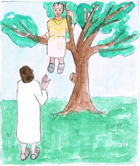 Jesus konnte Zachäus im Baum sehen.
