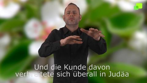 Embedded thumbnail for 10. Sonntag im Jahreskreis