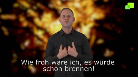 Embedded thumbnail for 20. Sonntag im Jahreskreis